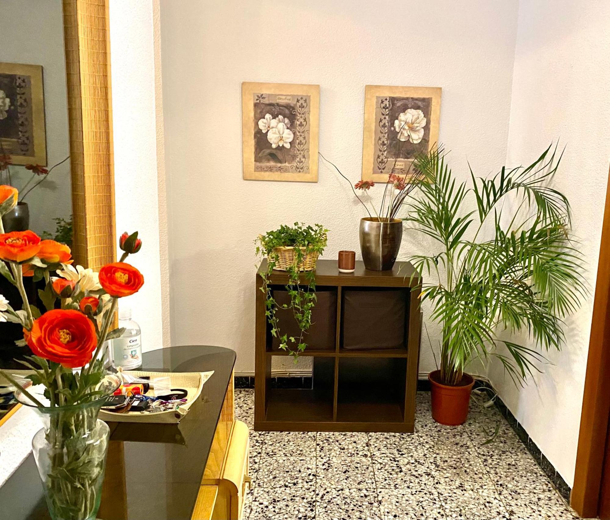 Habitacion My Home Alicante Eksteriør billede